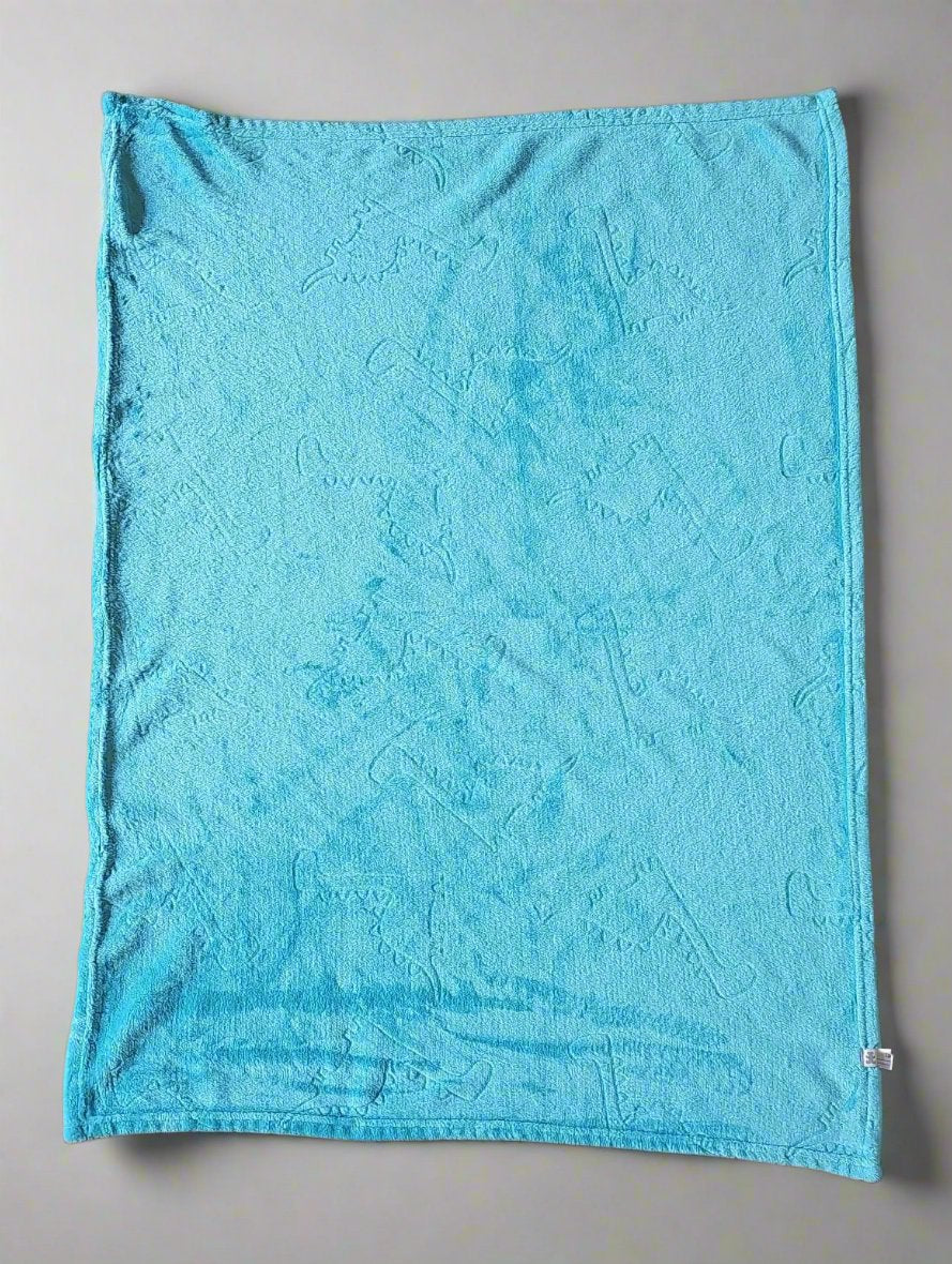 Plush Baby Boy Blankets